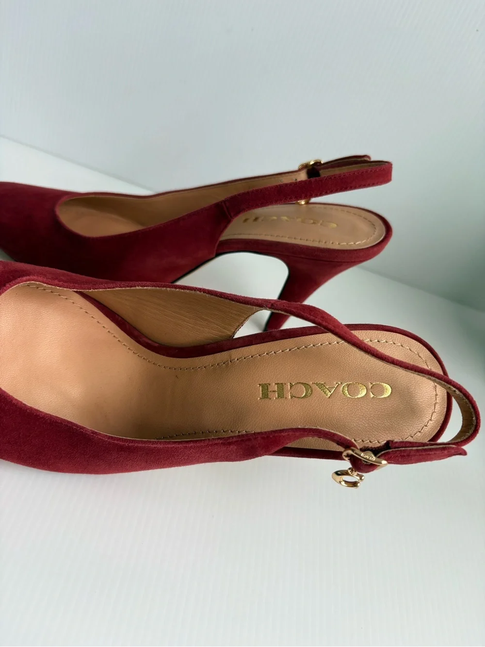 Coach size raspberry